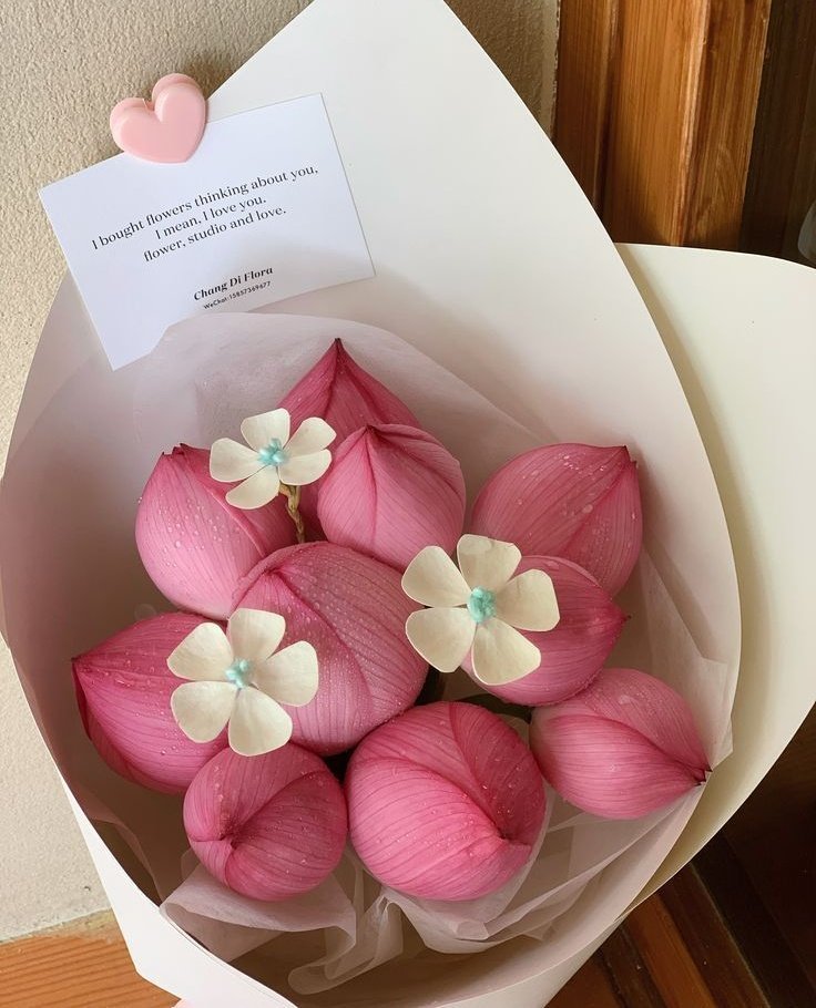 dreamyflowerrs's tweet photo. lotus flowers https://t.co/DtePgKwPOo