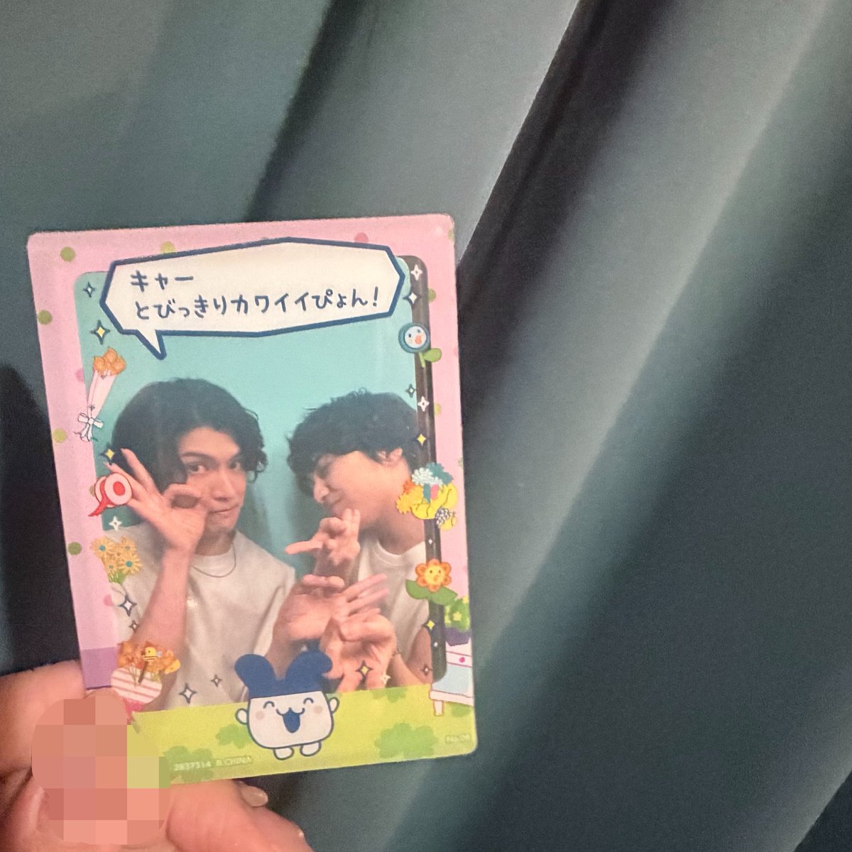 0rtanvn's tweet photo. しめじちゃん、宮崎のホテルのカーテンだよ← https://t.co/wZpCwaFtZY