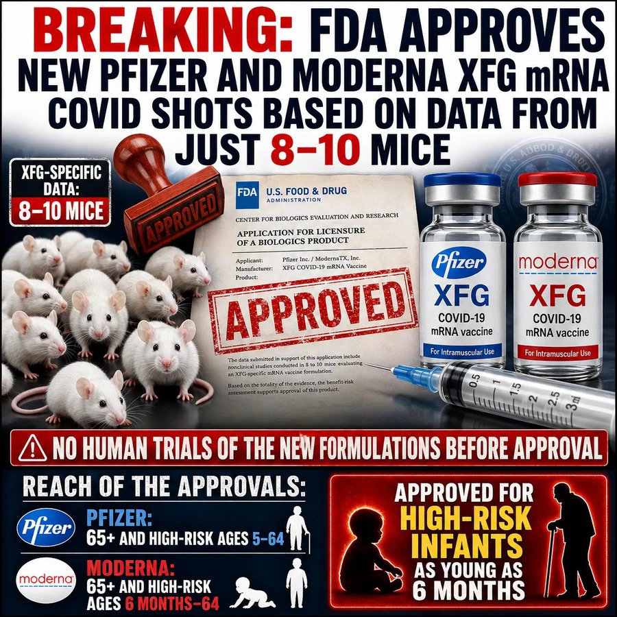 ValerieAnne1970's tweet photo. THEY DID IT AGAIN... The FDA Approved New Pfizer & Moderna XFG mRNA COVID Shots Based On Data From Just 8–10 Mice

Human safety and immunogenicity studies for THIS version hadn’t even started... yet the shots got approved anyway.

Now being rolled out to:
• High-risk people ages 5–64 (Pfizer)
• Infants as young as 6 months (Moderna)
• Everyone 65+

They still don’t know how long the synthetic mRNA stays in the body... the latest data confirms mRNA post vaccine found in the body more than 3 years later.

They don’t care. This isn’t science-first. This is schedule-first and profit-first.

Parents. Grandparents. Anyone still being pushed toward another “updated” shot — look at the actual evidence they used and say NO to these injections.