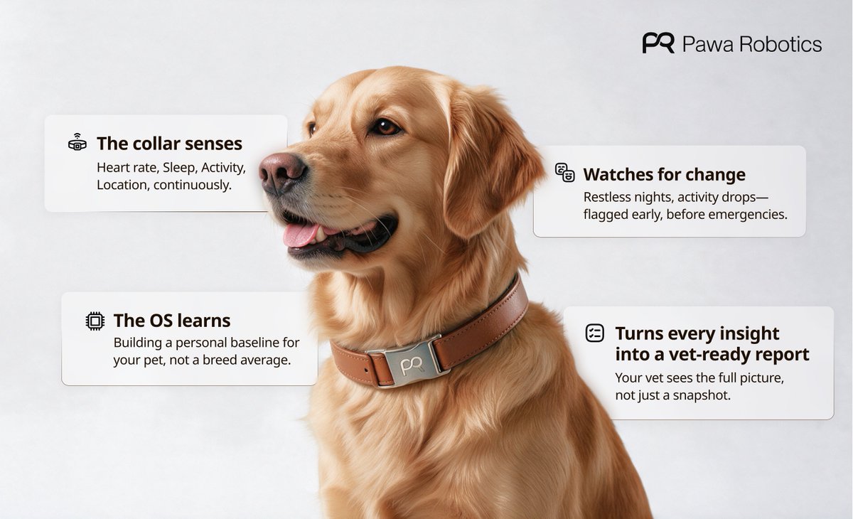 pawa_sci's tweet photo. Every day, your pet gives off a thousand little signals: their heartbeat, their sleep, their routines.

@pawa_sci 's Proactive Vitality OS turns them into one thing you can feel: knowing they're okay and noticing when something changes.

Every insight becomes an early signal and a vet-ready report. 🐾