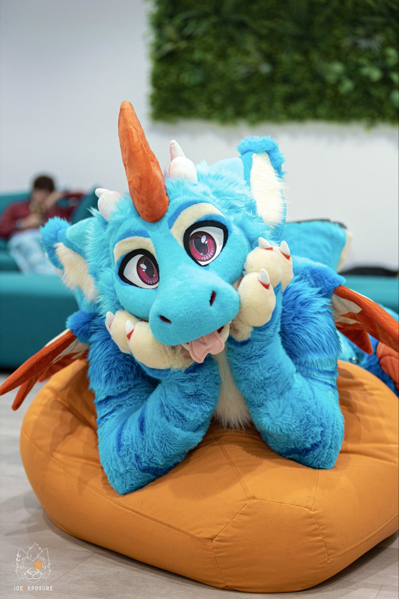 MaverickTheHusk's tweet photo. OwO
Can you tell me a story ✨ for this #FursuitFriday 

🪡Fursuit maker.: @StuffedTailsFur 
📸Photo by.: @PawIkaros https://t.co/I0eemfPk1z