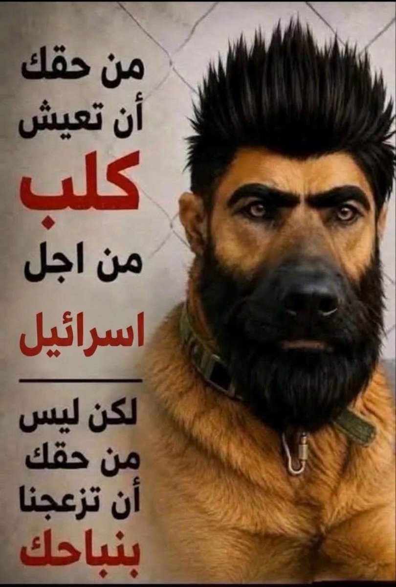 k0n0y71's tweet photo. @MrKndel انت يهودي عايش بمصر  لاتزعجنا بنباحك https://t.co/8jEOPVdTv3
