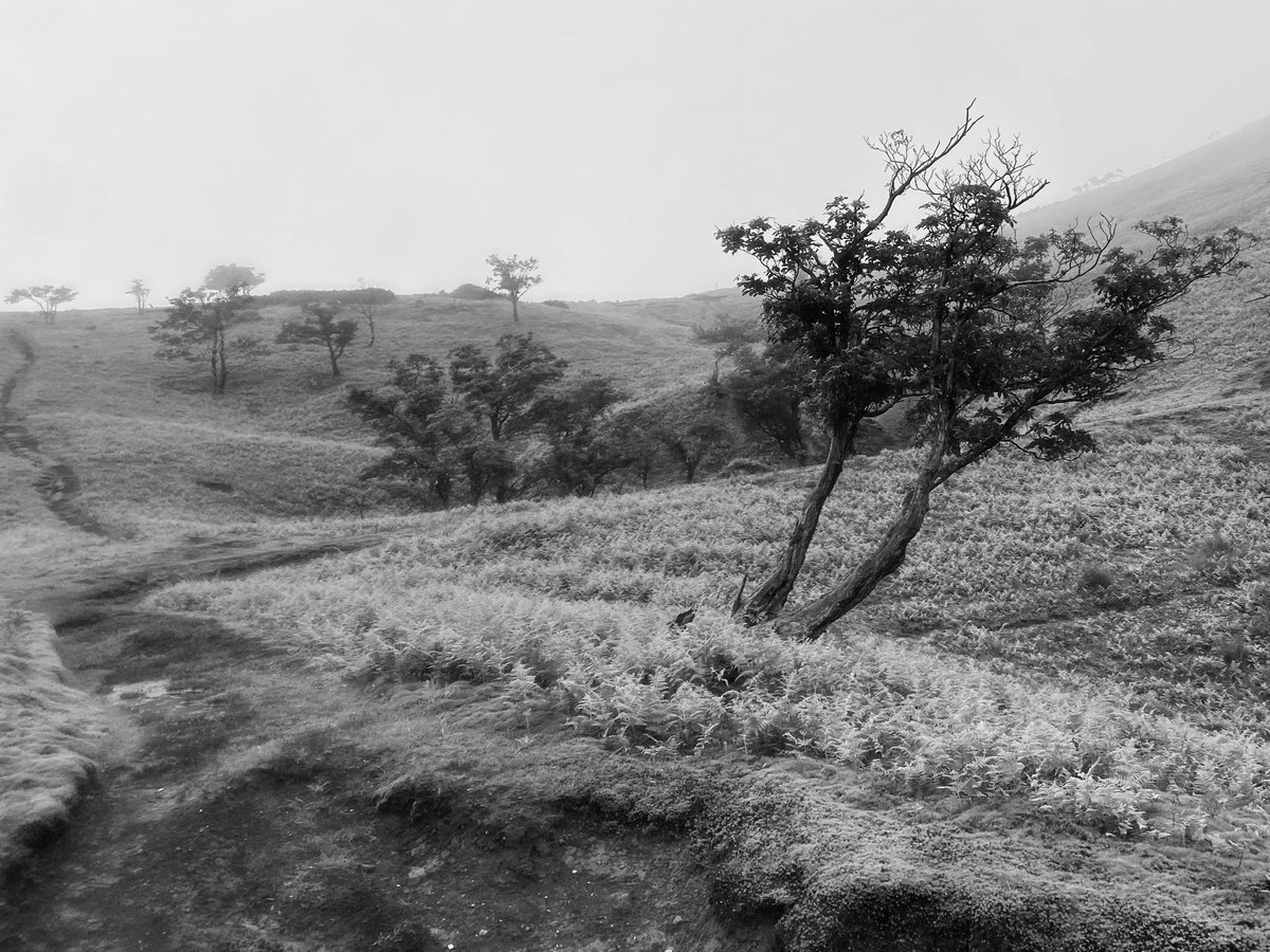 Ygch19X's tweet photo. #monochrome 
#photography https://t.co/0J4rhky2BO