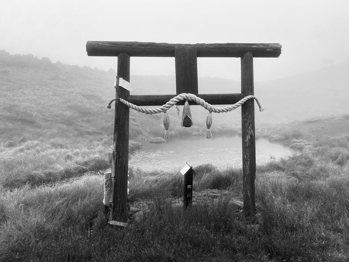 Ygch19X's tweet photo. #monochrome 
#photography https://t.co/0J4rhky2BO