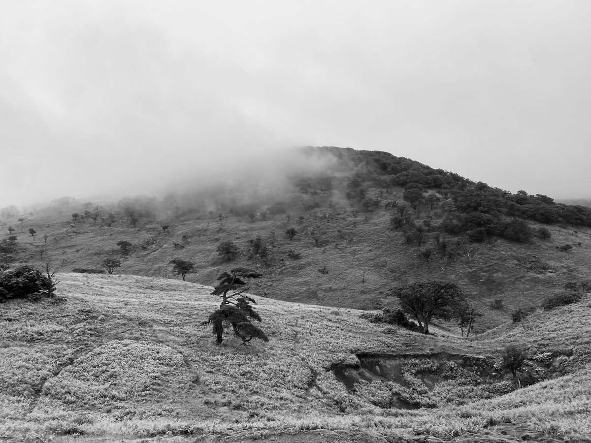 Ygch19X's tweet photo. #monochrome 
#photography https://t.co/0J4rhky2BO