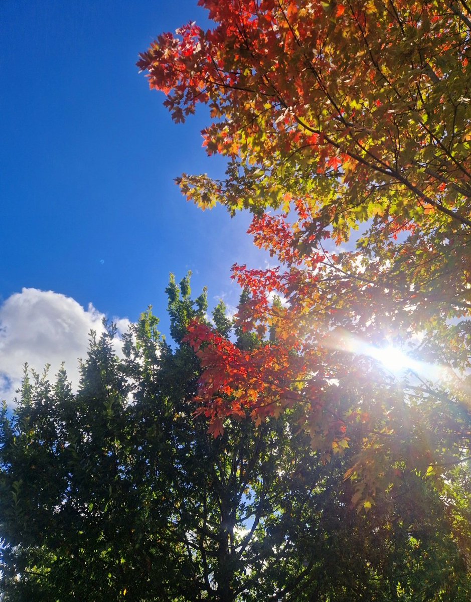 JuneHymn__'s tweet photo. September was🌹🍁 https://t.co/AypwGwKNMK