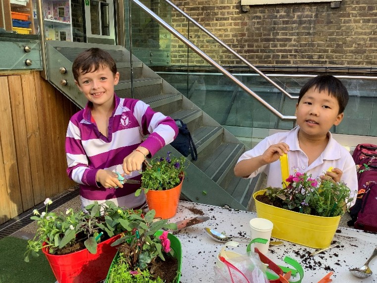 WCCSLondon's tweet photo. 𝐋𝐢𝐭𝐭𝐥𝐞 𝐡𝐚𝐧𝐝𝐬, 𝐛𝐢𝐠 𝐝𝐢𝐟𝐟𝐞𝐫𝐞𝐧𝐜𝐞
Our Pre-Prep Community Club boys have been busy bringing a little more colour to the playground — planting, potting and getting their hands wonderfully muddy along the way!
#westminstercathedralchoirschool #preprep #wccs https://t.co/ImD3qokaeg