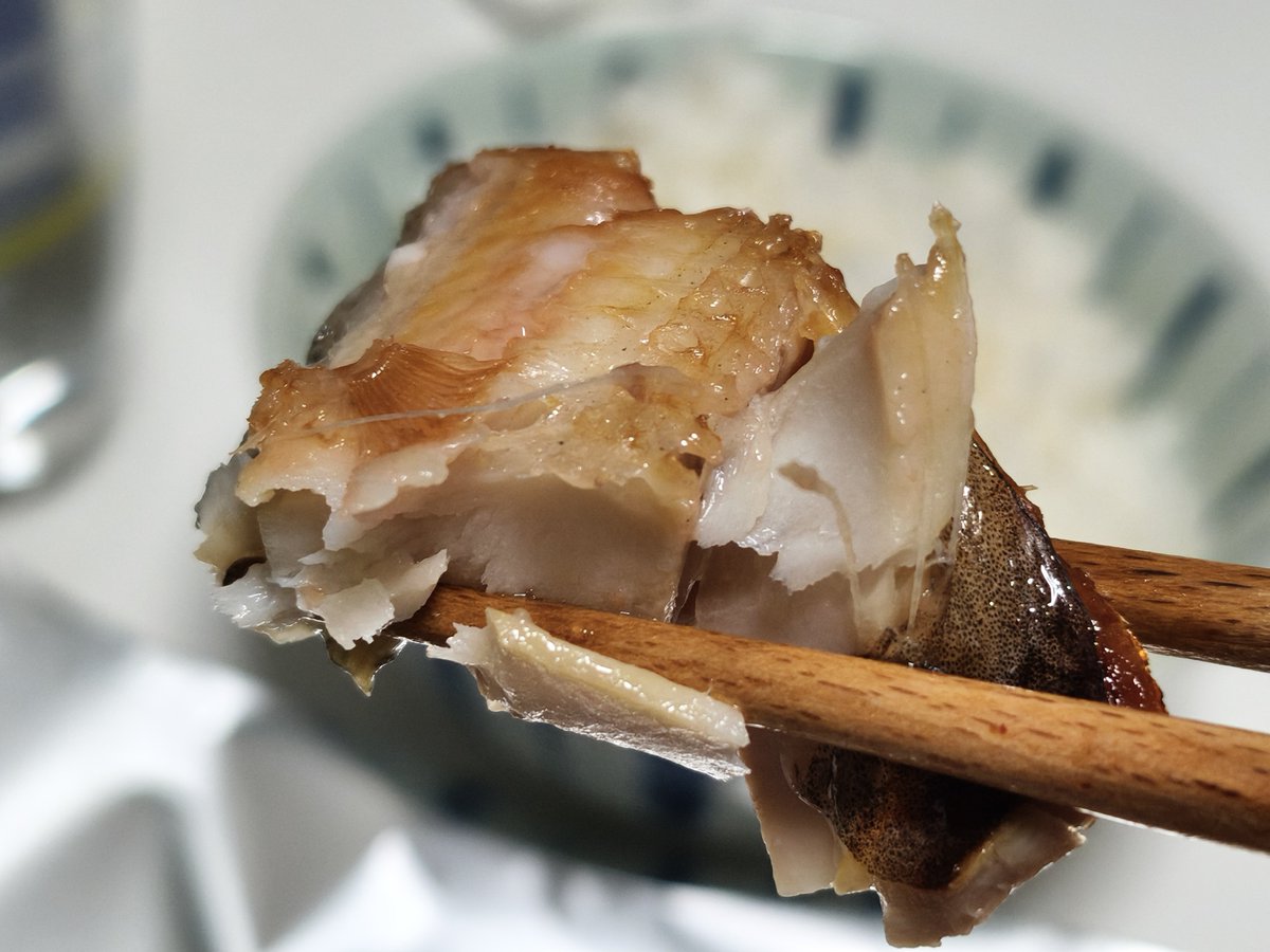 nerigarashi_01's tweet photo. シメはホッケと炊きたてご飯🐟🍚
美味しゅうございました〜！(Ҩ´ω`Ҩ)ŧ‹"ŧ‹" https://t.co/LEKCn1rZuR