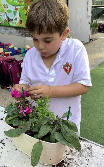 WCCSLondon's tweet photo. 𝐋𝐢𝐭𝐭𝐥𝐞 𝐡𝐚𝐧𝐝𝐬, 𝐛𝐢𝐠 𝐝𝐢𝐟𝐟𝐞𝐫𝐞𝐧𝐜𝐞
Our Pre-Prep Community Club boys have been busy bringing a little more colour to the playground — planting, potting and getting their hands wonderfully muddy along the way!
#westminstercathedralchoirschool #preprep #wccs https://t.co/ImD3qokaeg