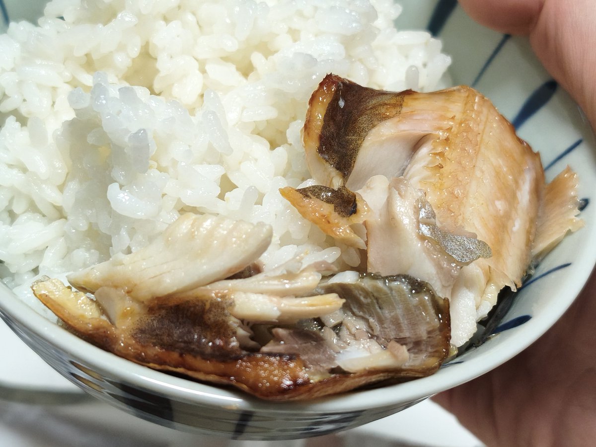 nerigarashi_01's tweet photo. シメはホッケと炊きたてご飯🐟🍚
美味しゅうございました〜！(Ҩ´ω`Ҩ)ŧ‹"ŧ‹" https://t.co/LEKCn1rZuR