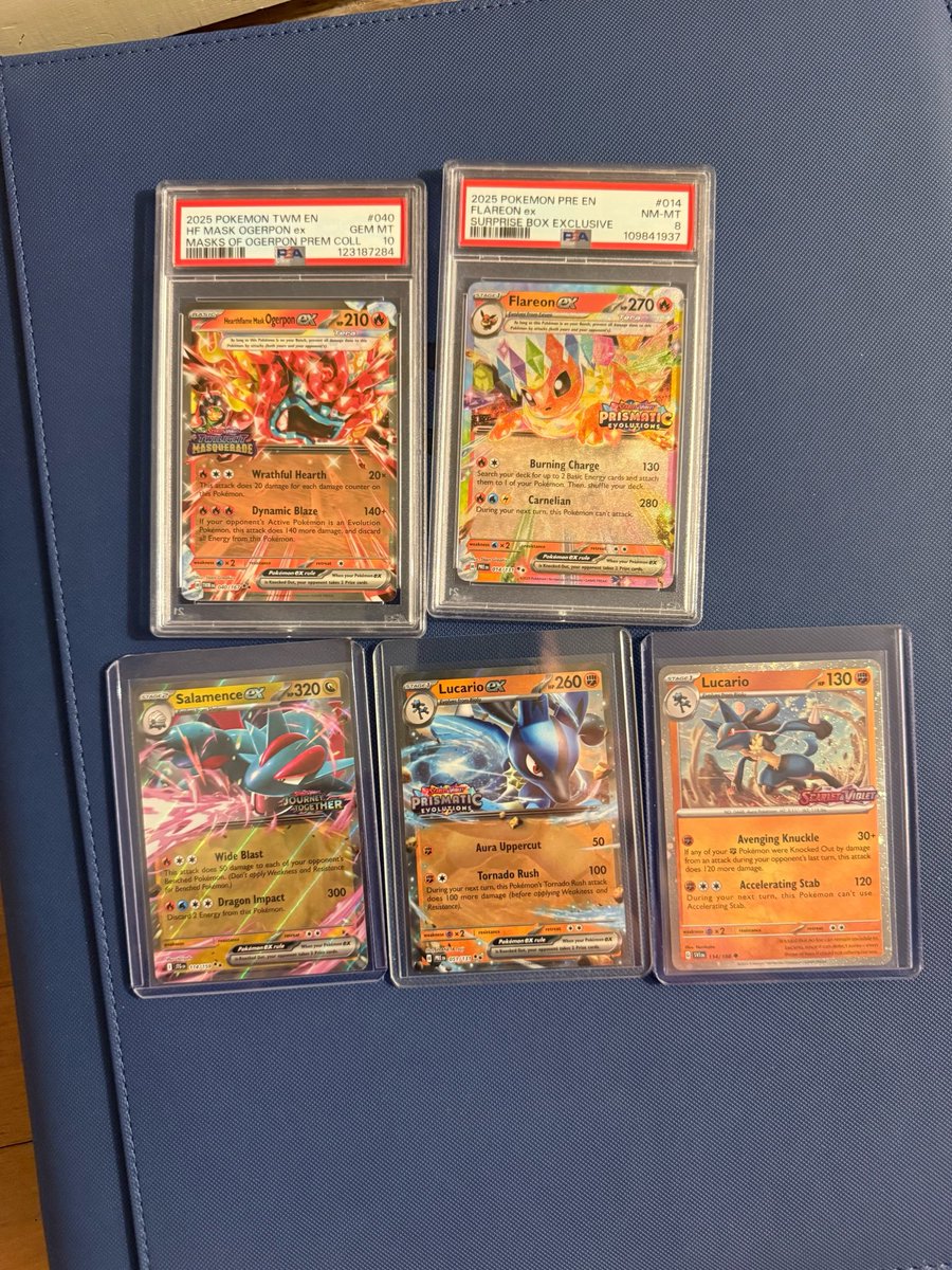 RP5615's tweet photo. 🚨 Very Small Stamped Giveaway 🚨 

To enter, simply comment which Charity Pokedex Page number, and your favorite card from that page is!

No retweets required
No following me required.

I’ve said it before, I’m not out to explode or make money on this app. Just a retail dude spreading love and joy!

If I comment back, I have you entered! I do work all weekend, so it may take time for me to respond, so be patient with me please! 

Entries close at 7pm EST Sunday, October 4th! 

We will be doing some type of small giveaway at the end of every region section of the charity binder, then once the whole binder is completed, we will give away the crazy upgrade binder we’re making along the way!