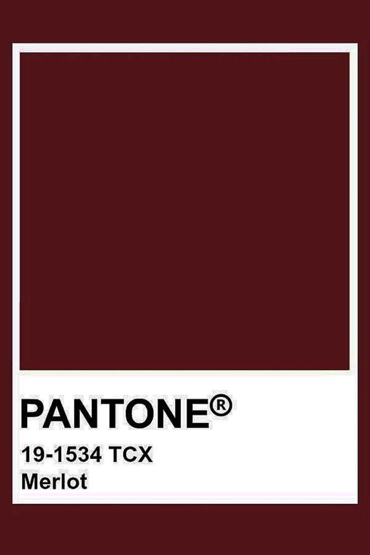 Imnervousrex's tweet photo. how pinterest sees me

fashion
pantone
mood
food https://t.co/PoOrmZ7yIm