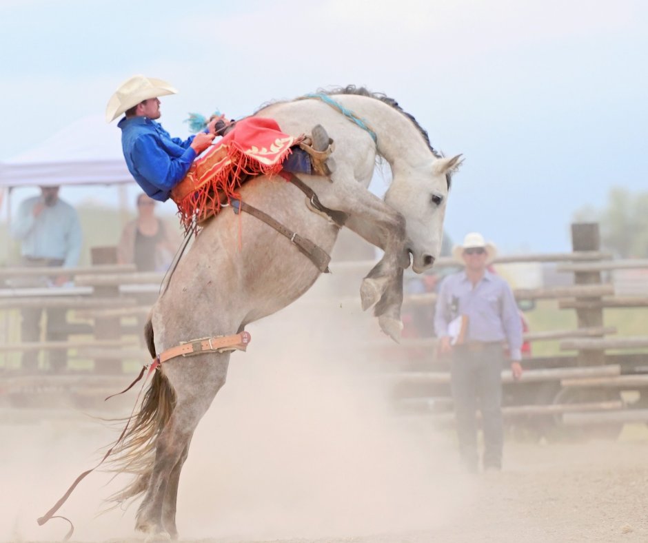 RangeConnected's tweet photo. 🤠 Photo Friday is back!
We’re kicking things off with this great rodeo moment captured by Heidi Romsa as horse and rider take on the action. There’s nothing quite like the grit, energy and excitement of a rodeo!
See this year's winners! https://t.co/kBBcNaIiVc
#LiveYourWestLife https://t.co/O64pS63HFH
