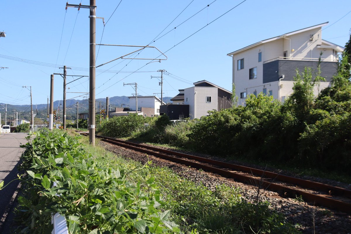 jikko680687's tweet photo. 【今日の787系Vol.3】2026/10/2(Fri)
5009M特急にちりん9号 大分14:11発 宮崎空港行き(宮崎空港17:52着)
787系 BO6101編成(分オイ) ※営業車検測装置搭載車両

#787系 #BO6101 #大分車両センター #日豊本線 #大在駅 #坂ノ市駅 https://t.co/QuPLqbHFhR