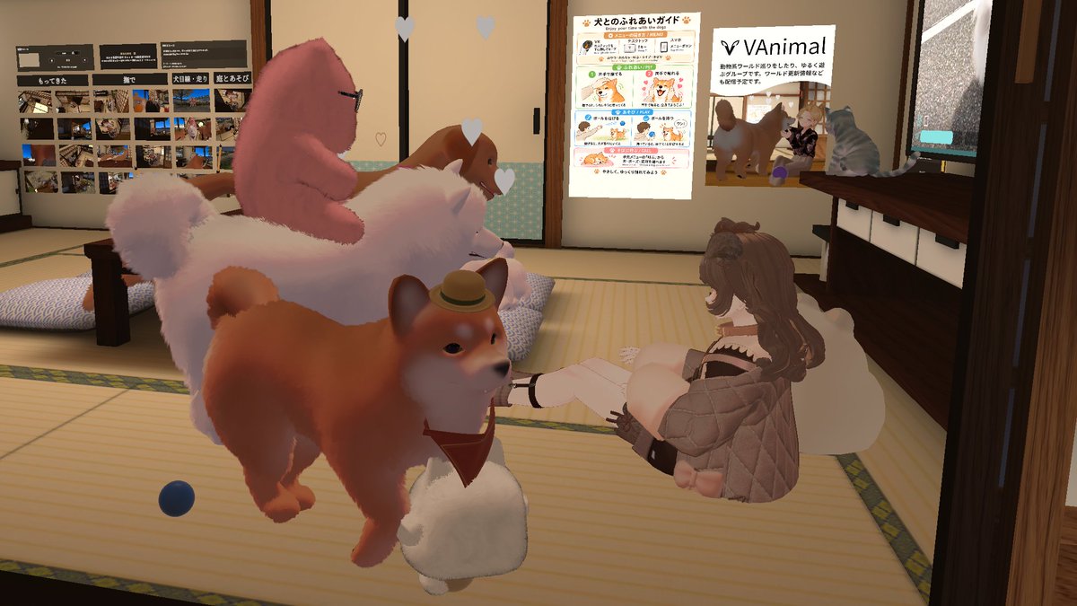manaminvr's tweet photo. https://t.co/r7fLcCp92X