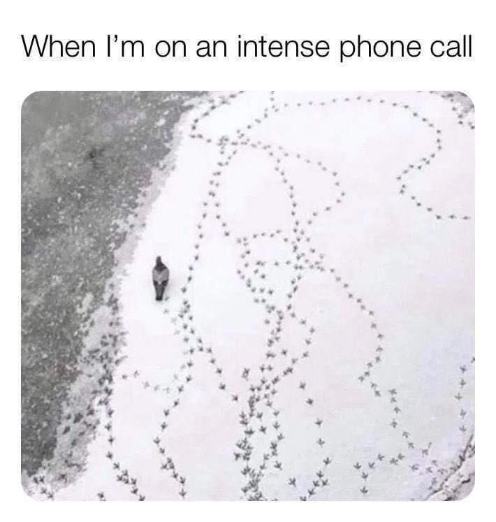 SpeakComedy's tweet photo. That’s me on a very average call, not even an intense one https://t.co/vY50fevkJm