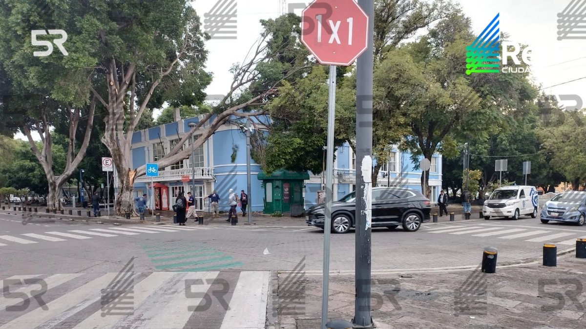 laredcincoradio's tweet photo. #ReporteRed 🌳 || Reportan la caída de un árbol en el Ex Acuario, en calle 11 Sur, Paseo Bravo. Tome sus precauciones. Al parecer, solo daños materiales. https://t.co/Wenwa7nkBP