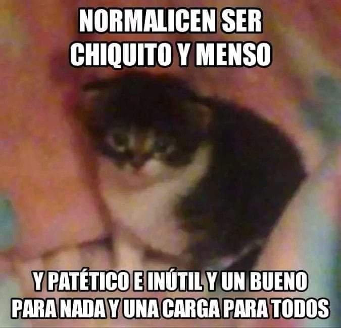 Mantequilla90's tweet photo. https://t.co/CHWa0u8Tm8
