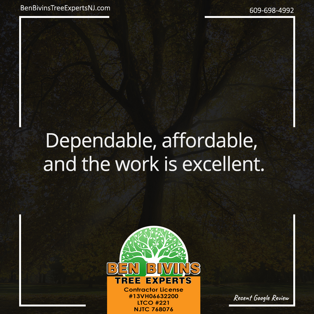 BivinsTree's tweet photo. Reviews like this reflect the kind of service we work hard to provide on every job, from routine pruning to larger removals and emergency tree work.
https://t.co/ZSfFYfRBWg
#CustomerReview #TreeService #TreeRemoval #TreePruning #TreeTrimming #NJTreeService #TreeExperts #Arborist https://t.co/yCwc2ktki7
