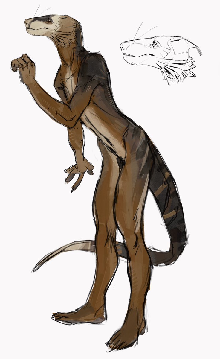 cyviarvuk's tweet photo. Fossa inspired Cynodontia https://t.co/Mb0G1ah1ky