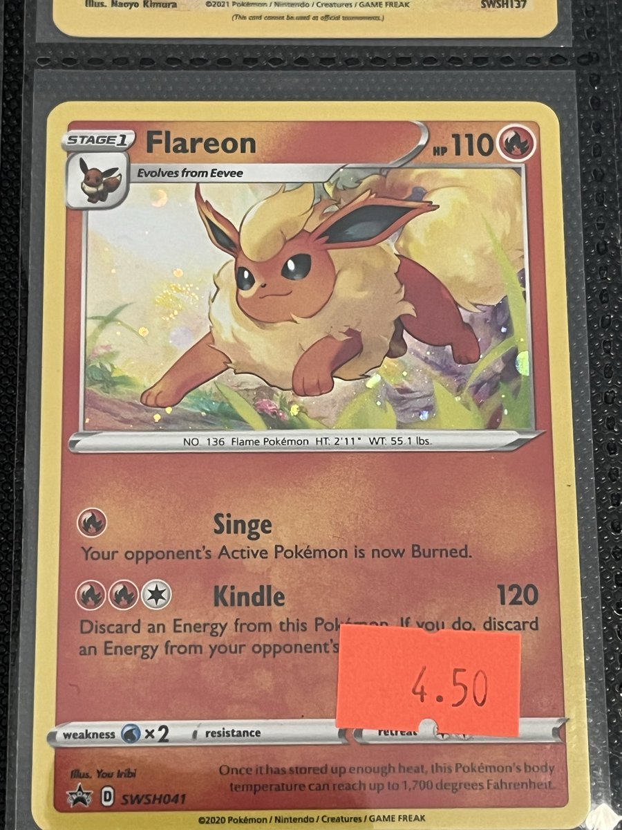 AnneEmmaa's tweet photo. @RicFlareon card show at the weekend so consider this your warning of Flareon content incoming 🤪🤣🫡 

Equally, consider this post your warm up. These were at a card shop down in Torquay ☺️ 

As you were lad! 🫡 https://t.co/bqIGPgZFgT