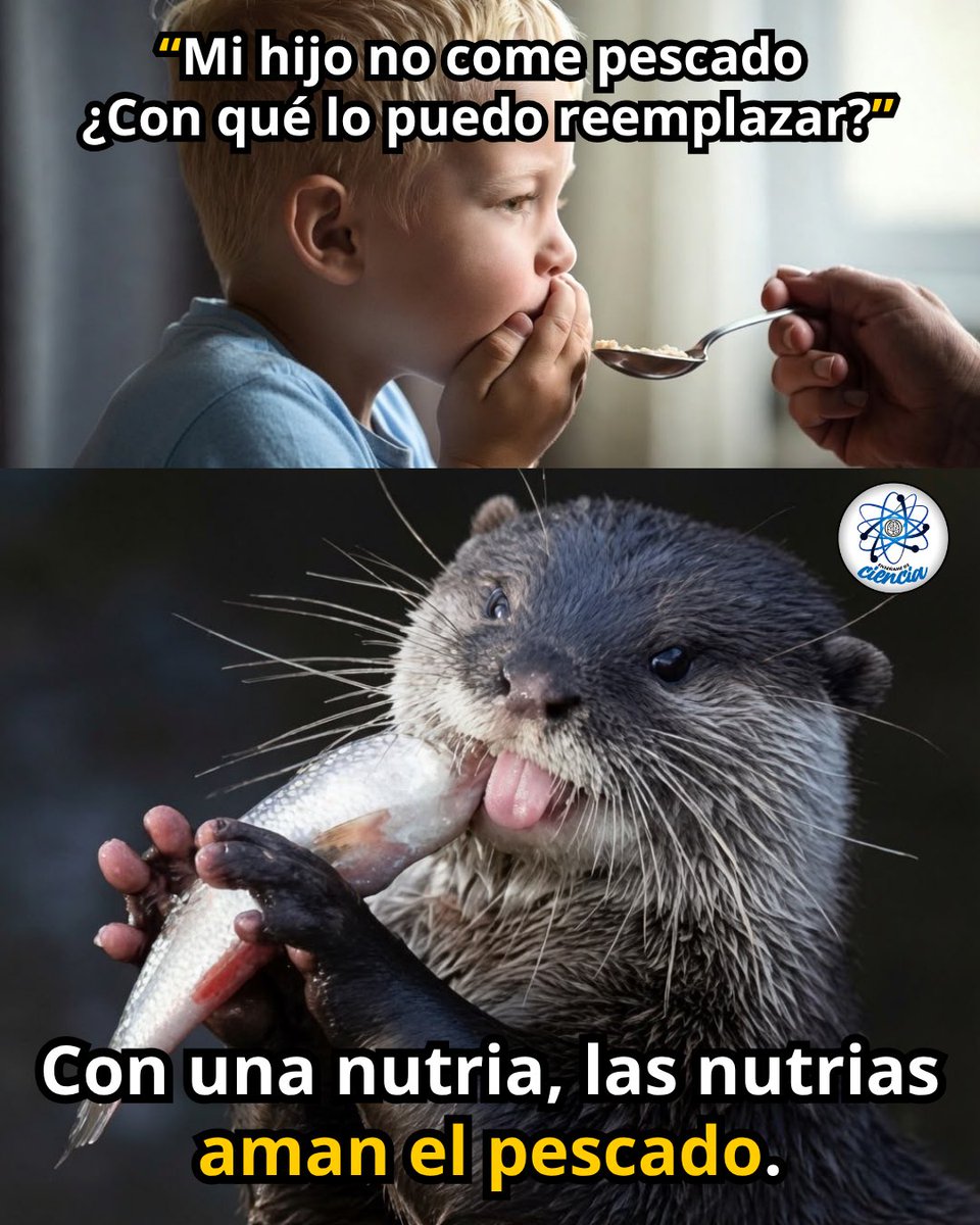 EnsedeCiencia's tweet photo. 🥸👌 https://t.co/vQUIQ522hj