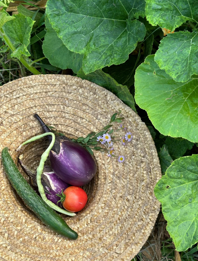 b4abqux313's tweet photo. In the quiet yard, the old horse’s stable lies at ease while the eggplant rests nearby—what a relaxed little scene that makes my heart feel light! https://t.co/h66RJe5Qhu