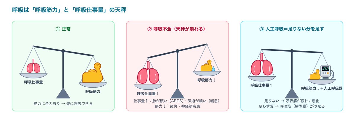YUMA555552's tweet photo. 💡人工呼吸の目的は3つだけ

①酸素化（O2を入れる）
②換気（CO2を出す）
③呼吸仕事量の肩代わり

気道確保は「チューブ」の仕事で別枠。
始めるときに決めるのは「何のため？何で評価？いつ外す？」

8分の動画でも解説しています📺
https://t.co/IJFEzw6334 https://t.co/CQtIhF1JHy