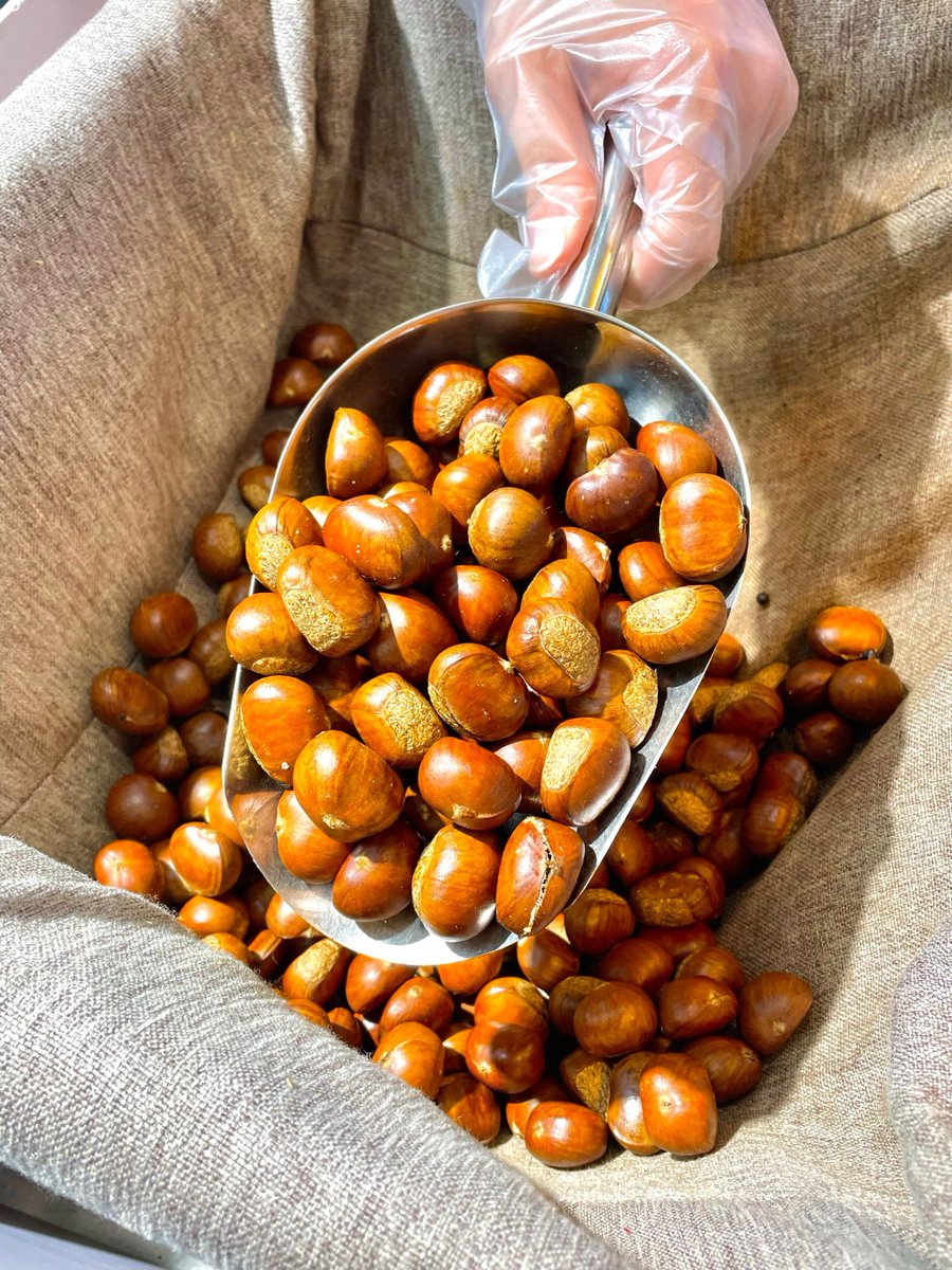 etyraihanun1's tweet photo. [This day is warm, the chestnuts are fragrant, I’ve paid the fees, here’s my daily joy ]， https://t.co/1sO7nUHLnY
