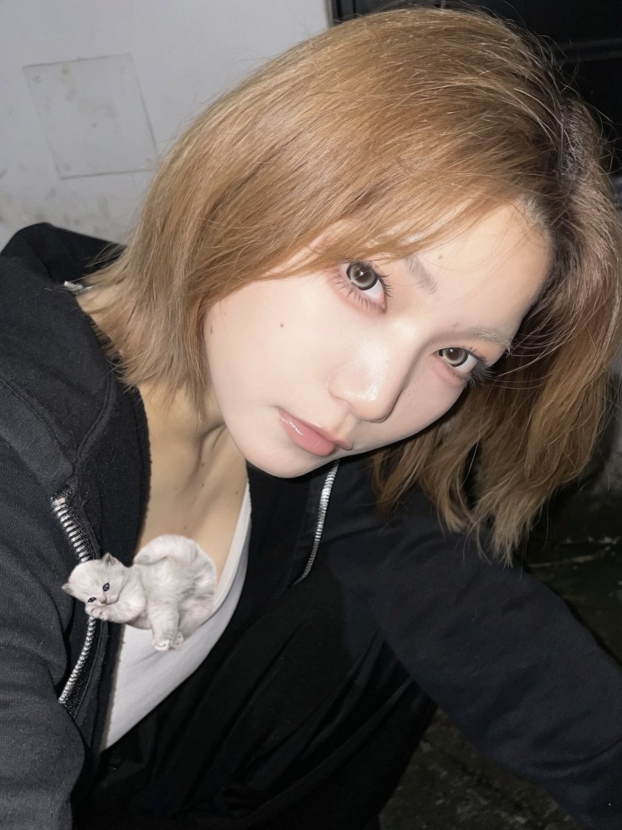 9dayz_SHINOBU's tweet photo. やっけーしーじゃーぱわー💪 https://t.co/KGec4qoYIW
