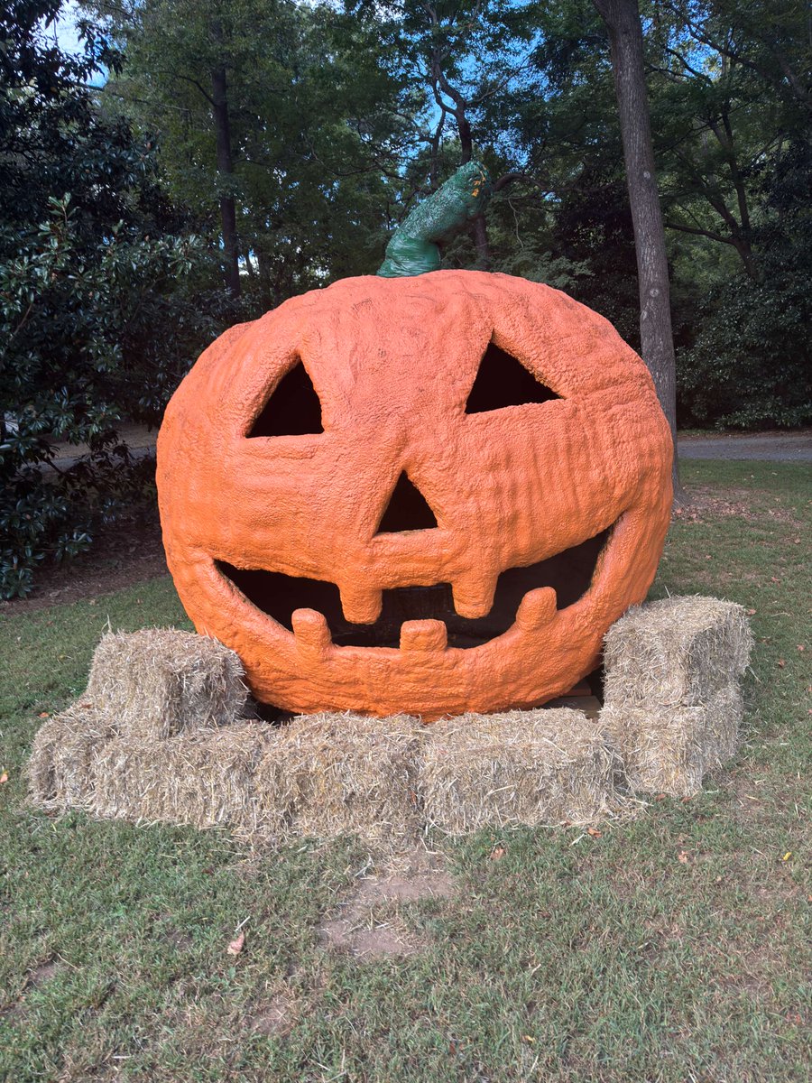 CityofRoswellGA's tweet photo. The Great Pumpkin is now here! Gather your family and friends for a photo-op with the largest pumpkin in town at Roswell City Hall! 🍂📸👻🍭🍁🍃

🔗https://t.co/18WiEWkpWa

#cityofroswellga #roswellrecandparks #pumpkin #fallseason https://t.co/ITRhCYX34D