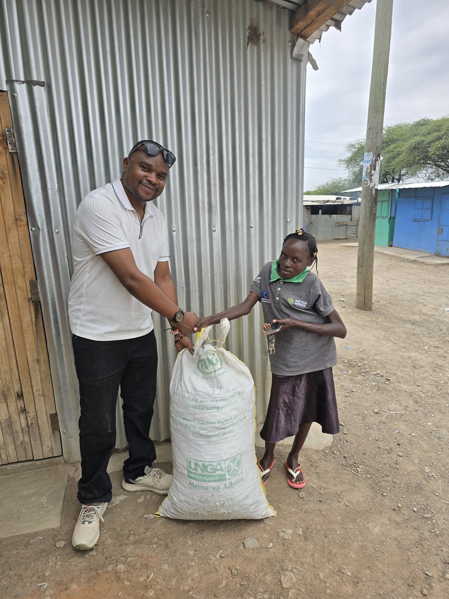 RReseeding's tweet photo. Collected Balanites aegyptiaca seeds from Clair, a member of Sigma Youth Group in Baringo. We collected 182 kg for restoration across Kenya’s ASALs.

Restoration is about more than landscapes. It’s about creating livelihoods from nature. 🌱

#Restoration #LivelihoodsFromNature https://t.co/QLa61eWMtJ