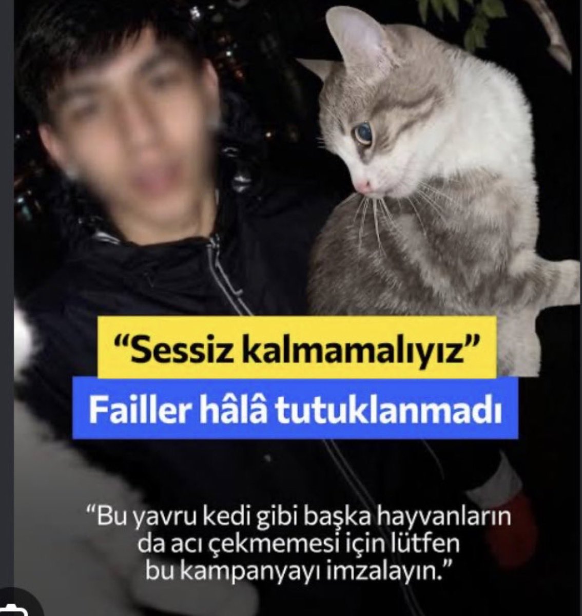 nuryilmazz34's tweet photo. Aşağılık Yaratık vatan haini 
Seni unutmadık unutmayacağız unutturmayacağız‼️

Bu vahşeti yapan kedi katilini bulup adalete teslim edeceğiz…
#minikiçinadalet #miniğiunutma @EmniyetGM @istanbulbld @haydarozkan06 @sedat_peker @EmniyetAnkara #MinikİçinAdalet https://t.co/v3WK2pNybi