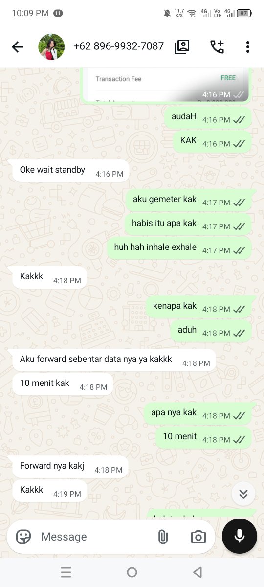 ikissycat's tweet photo. 10. Disini sebenernya mungkin aku udah dikasih petunjuk kalau ini tuh salah/janggal, tapi aku ngga tau aku takut banget disini karena nominal yang makin besar. Dan disini juga dia bilang mau forward dara (aku gatau data apa) https://t.co/Rb5UasSaR3