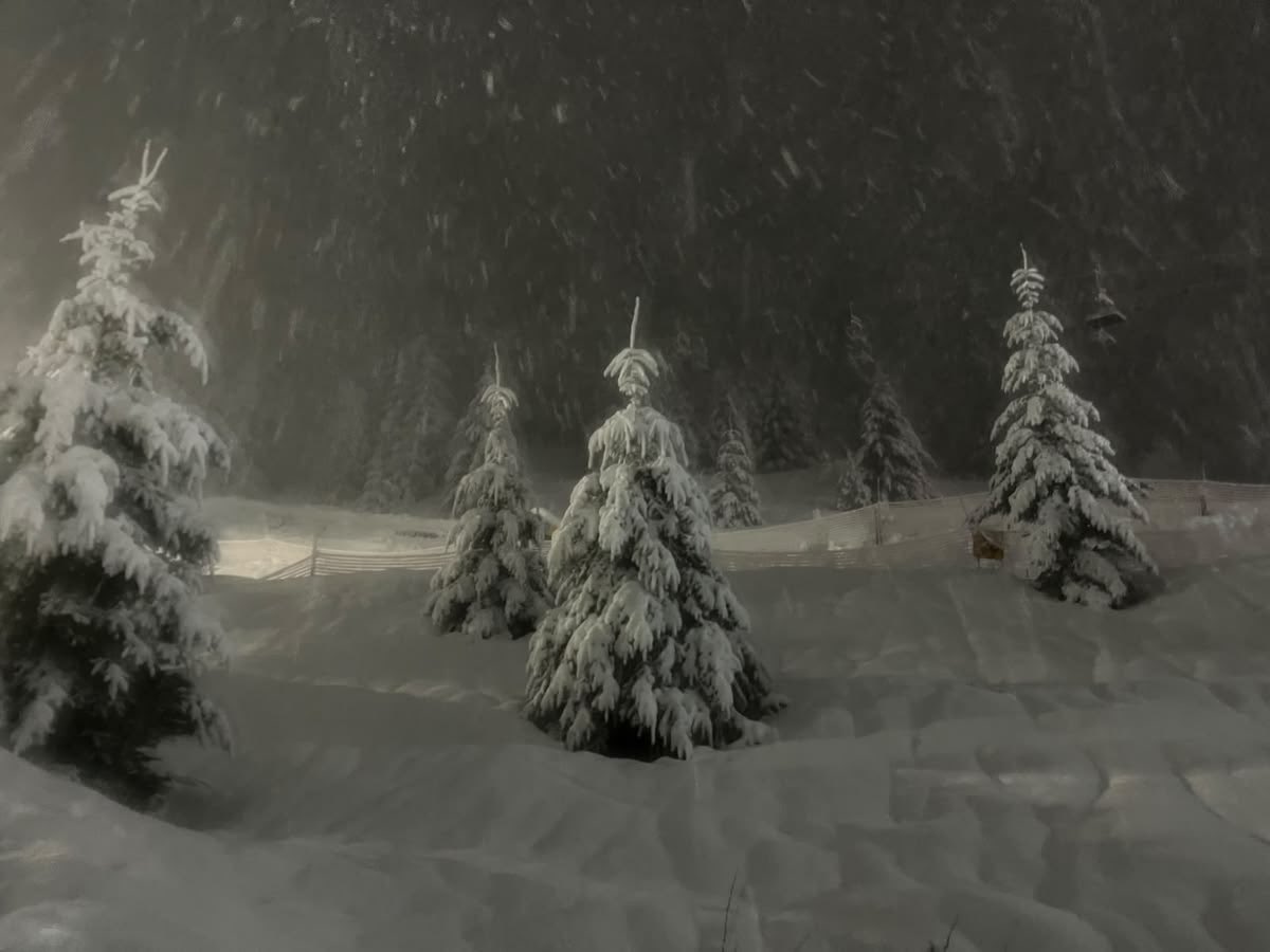 iglooicicle's tweet photo. 80 days till winter 

    ₊ ⊹    ₊ ⊹       𓂃
          𓂃  .𖥔 ݁ ˖⋆ ˚ .𖥔
                         ݁ ˖ https://t.co/ZqjxmJtoJr