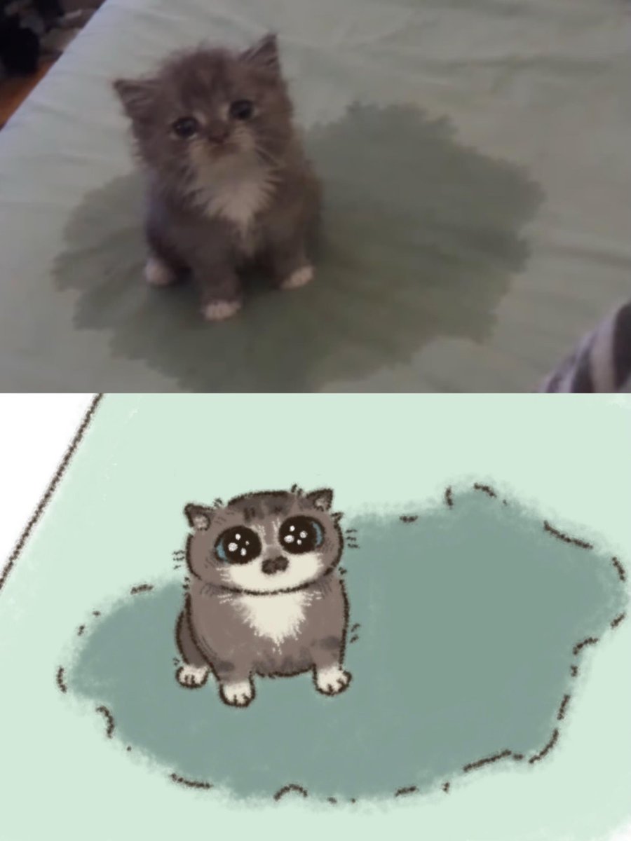nocontextscats's tweet photo. He peed himself https://t.co/Fupcy2b2zc