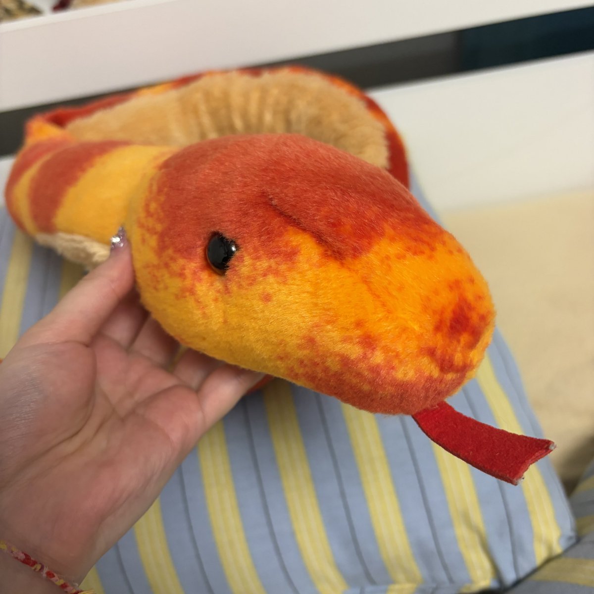 ama__ika's tweet photo. ぬいぐるみ紹介
⭐︎へび氏
中学生の時の修学旅行で購入、友達がいないなか修学旅行に参加し、班決めでかりんをどの班に入れてあげるかで少々みんなが揉め、気まずい修学旅行だったが、へび氏と一緒に周れたため、ノーダメだった。
きさく、頭がいい。 https://t.co/8BRVLQUXTx