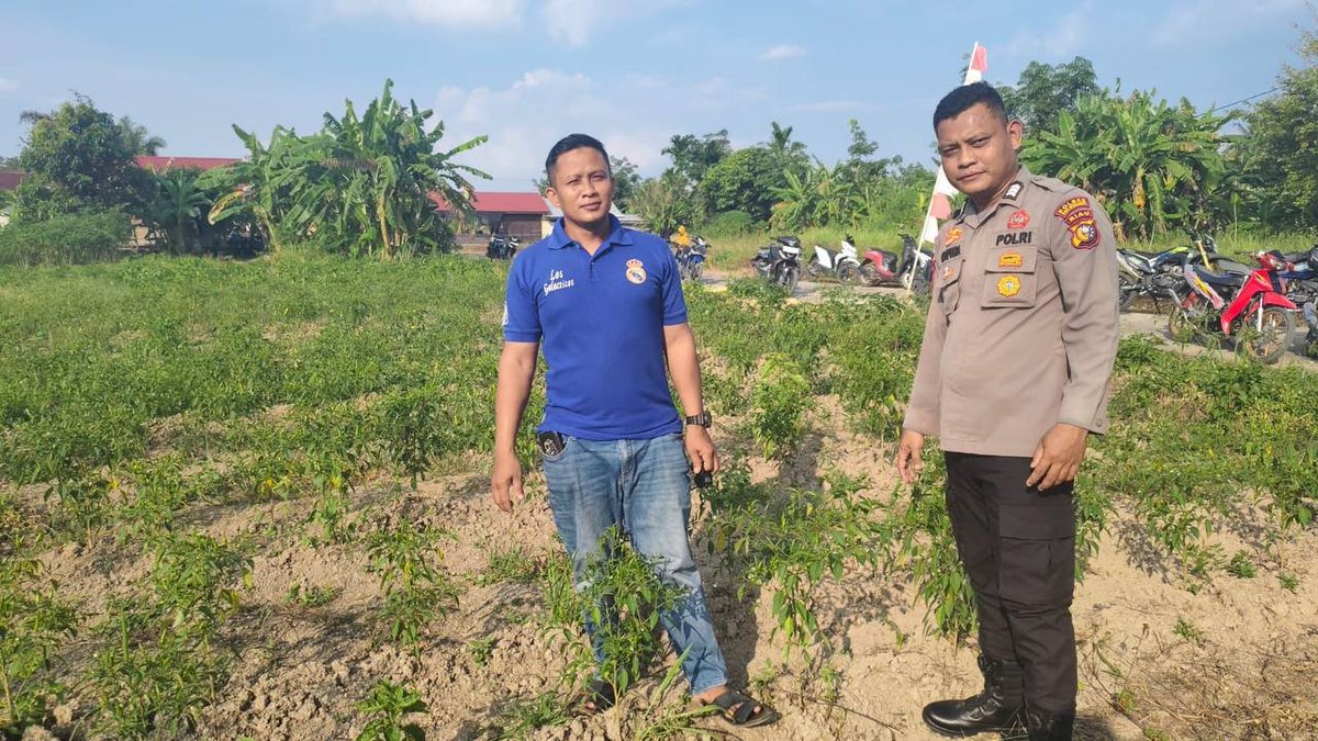 HumasTTB's tweet photo. POLSEK TEBING TINGGI BARAT LAKUKAN PEMBINAAN PETANI DESA PADANG KAMAL. 
#Polri
#Poldariau
#Polreskepmeranti
#Ketahananpangan. https://t.co/uVDPY2RhrA