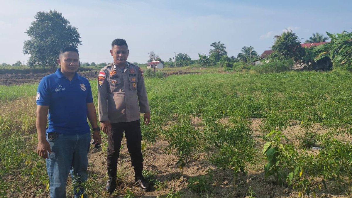 HumasTTB's tweet photo. POLSEK TEBING TINGGI BARAT LAKUKAN PEMBINAAN PETANI DESA PADANG KAMAL. 
#Polri
#Poldariau
#Polreskepmeranti
#Ketahananpangan. https://t.co/ohhSfxcxid