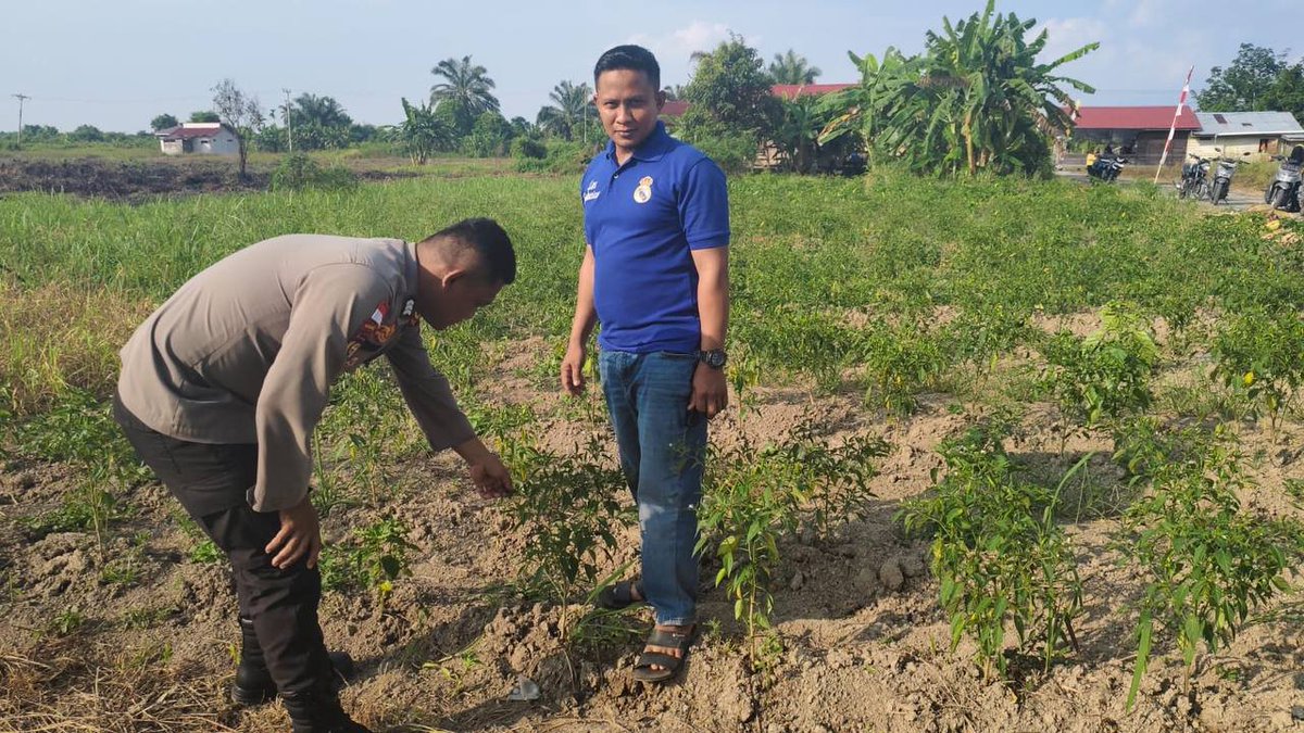 HumasTTB's tweet photo. POLSEK TEBING TINGGI BARAT LAKUKAN PEMBINAAN PETANI DESA PADANG KAMAL. 
#Polri
#Poldariau
#Polreskepmeranti
#Ketahananpangan. https://t.co/Cap3Apg1Kz