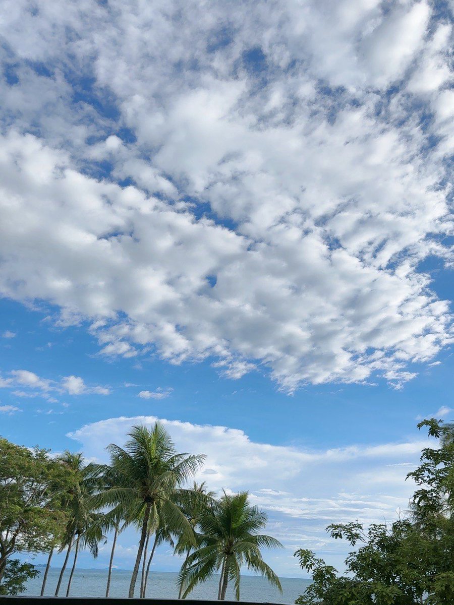 CharlieRaigfdu's tweet photo. Para quienes empiezan con la fotografía: prueban a enfocar objetos simples con luz natural, no necesitan equipos caros!， https://t.co/5BlGtEpESu