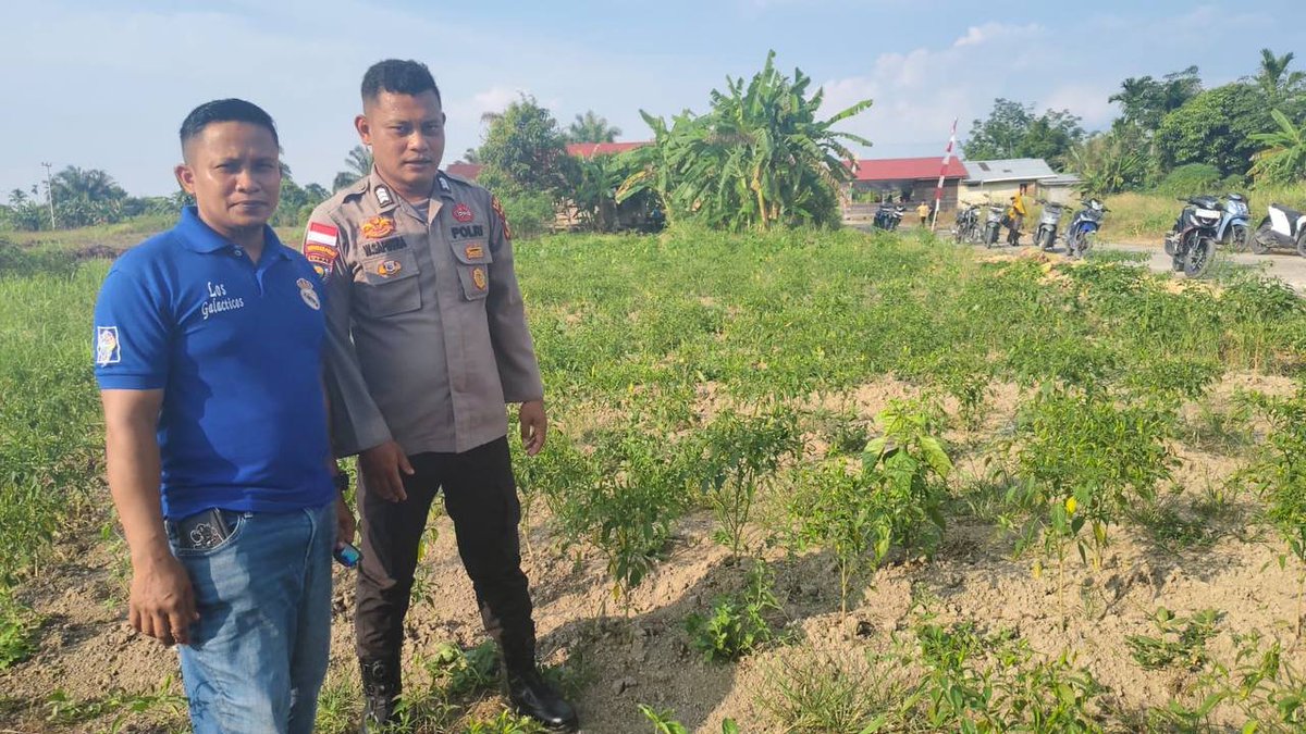 HumasTTB's tweet photo. POLSEK TEBING TINGGI BARAT LAKUKAN PEMBINAAN PETANI DESA PADANG KAMAL. 
#Polri
#Poldariau
#Polreskepmeranti
#Ketahananpangan. https://t.co/AksF9vDTyl