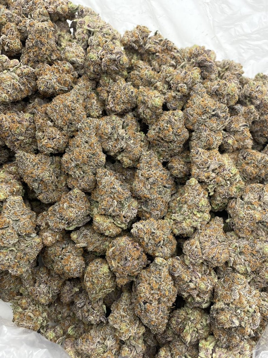 vault_green1's tweet photo. CANDY orange 
 #atl #atlanta #gwinnett #atlplug #atlfreaks #za #mobile #duluth #lawrenceville #norcross https://t.co/nvgwtaI6Fq