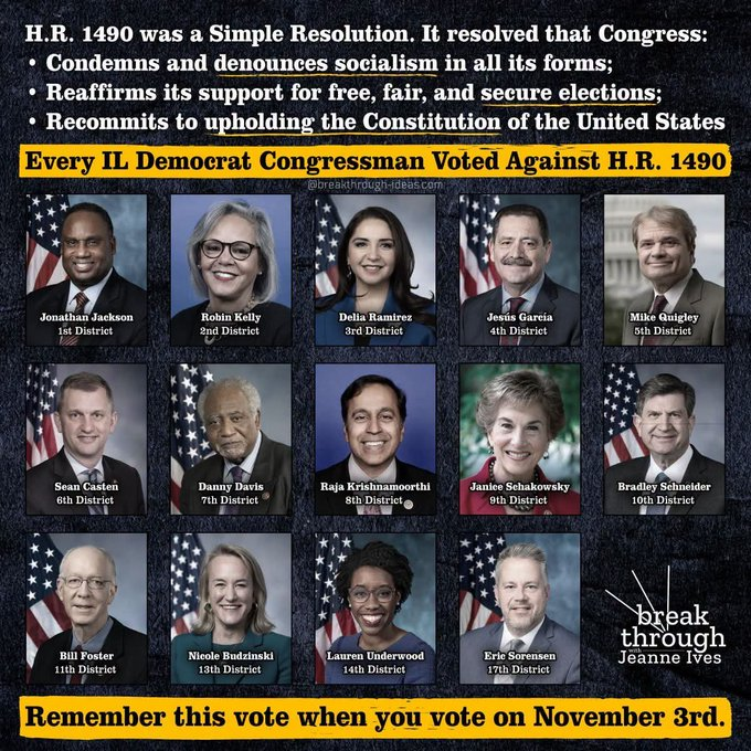 Vet1stAviation's tweet photo. @RepNikkiB TERRORIST DEMORATS AT WORK https://t.co/2Jhv9Guo34