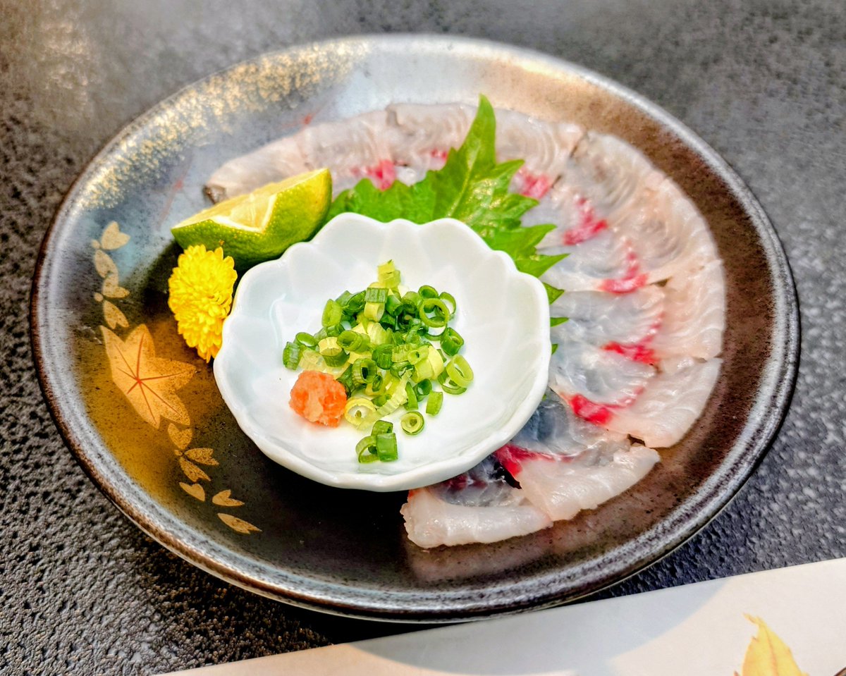 goshuinchou's tweet photo. ナマズ、うなぎなどの川魚料理の伝統を推している埼玉県吉川市の料亭「糀家」にてナマズ天ぷら御膳とナマズの刺身を頂いてきました。こちらのお店は創業1620年の老舗であり、新選組の近藤勇や勝海舟、板垣退助など幕末の英傑も来店したという歴史あるお店とのこと。久しぶりにナマズの天ぷら食べましたがふわっふわでめっちゃ美味い白身です。
そしてナマズの刺身も上品な、川魚と���思えないような、フグのような美味(食べ方もポン酢ネギ紅葉おろしなの��)であります。

いやーナマズ美味いなー！！