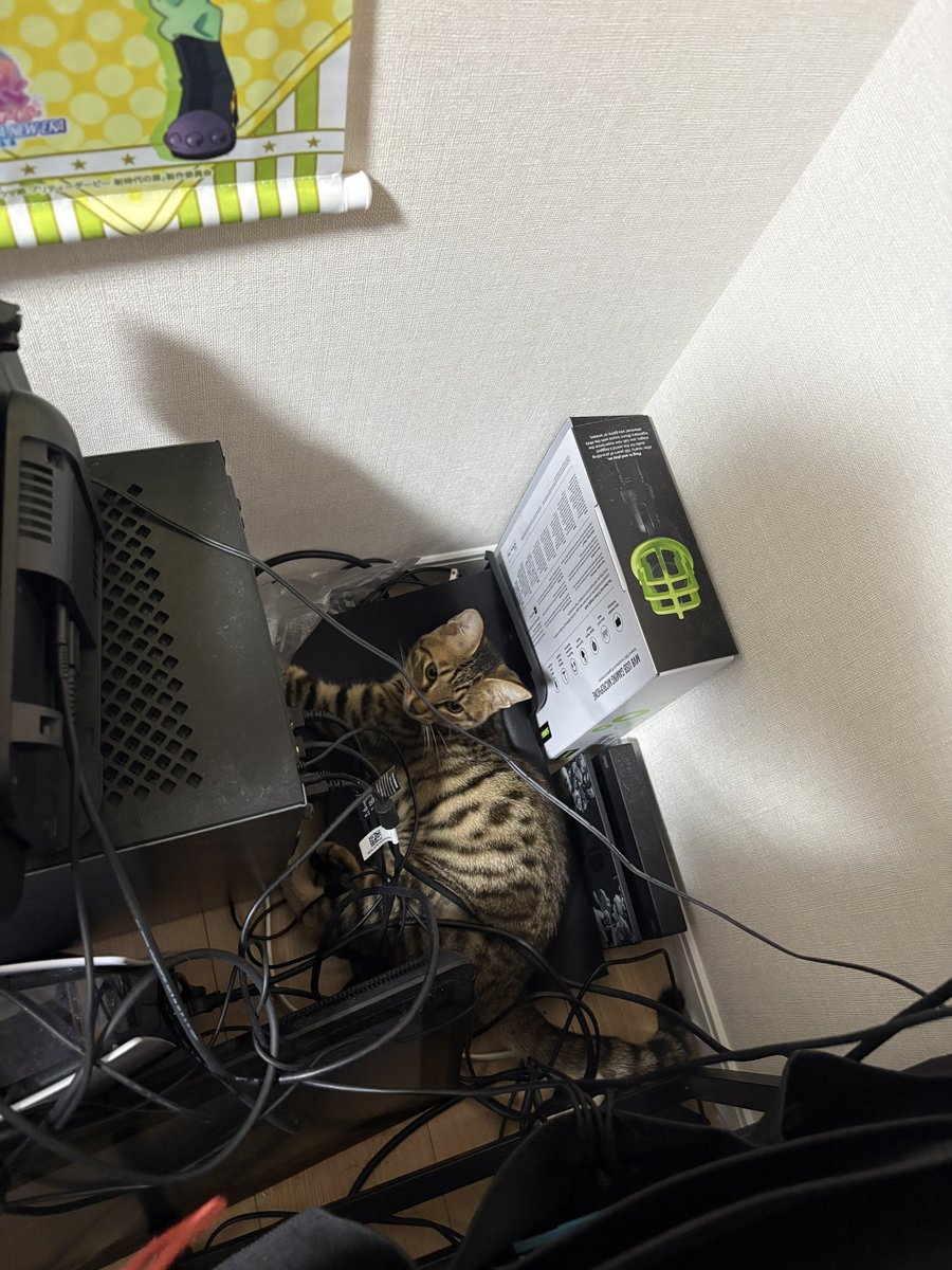 Chicurren_Chang's tweet photo. 秘密基地見つけたねえ https://t.co/MXrtGnjIc3