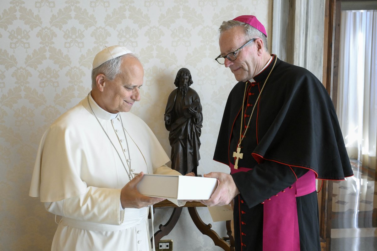 BishopBarron's tweet photo. Friends, I’m deeply grateful for Pope Leo XIV’s warm welcome and time during our productive conversation yesterday. It was a privilege to spend time with the Holy Father. https://t.co/CUTn4LxOT4
