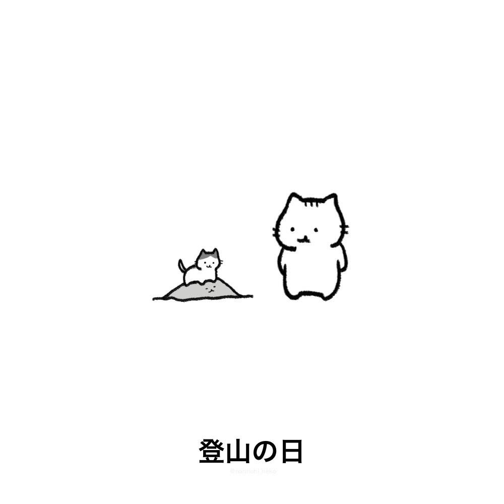 nannohi_neko's tweet photo. #今日は何の日 #猫 #登山の日 https://t.co/ikoiQllrIy