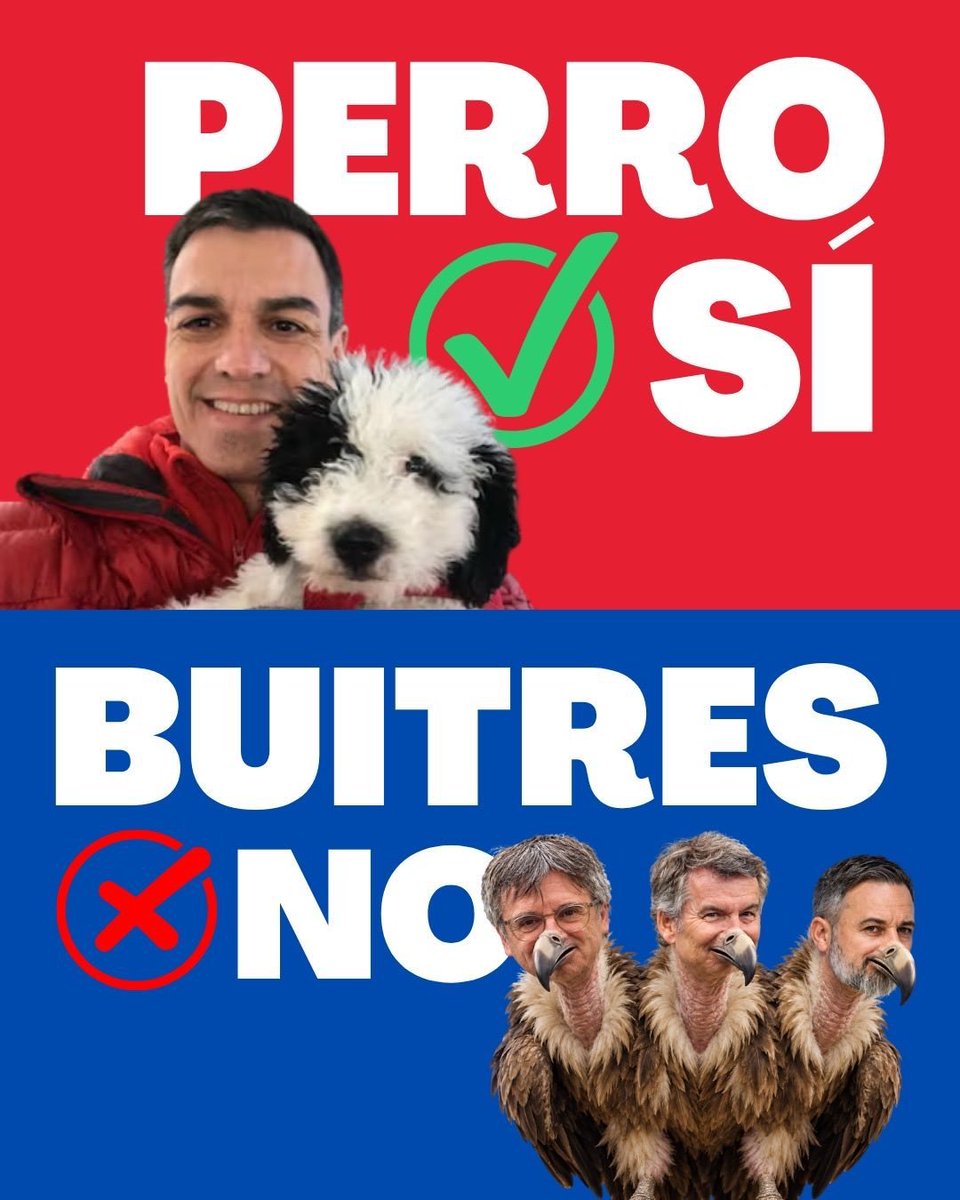 ppultraes69's tweet photo. Esto es a lo que PP, Vox, Junts y UPN han votado NO: 

 A TUS DERECHOS
@PSOE https://t.co/0ctTfYArfF