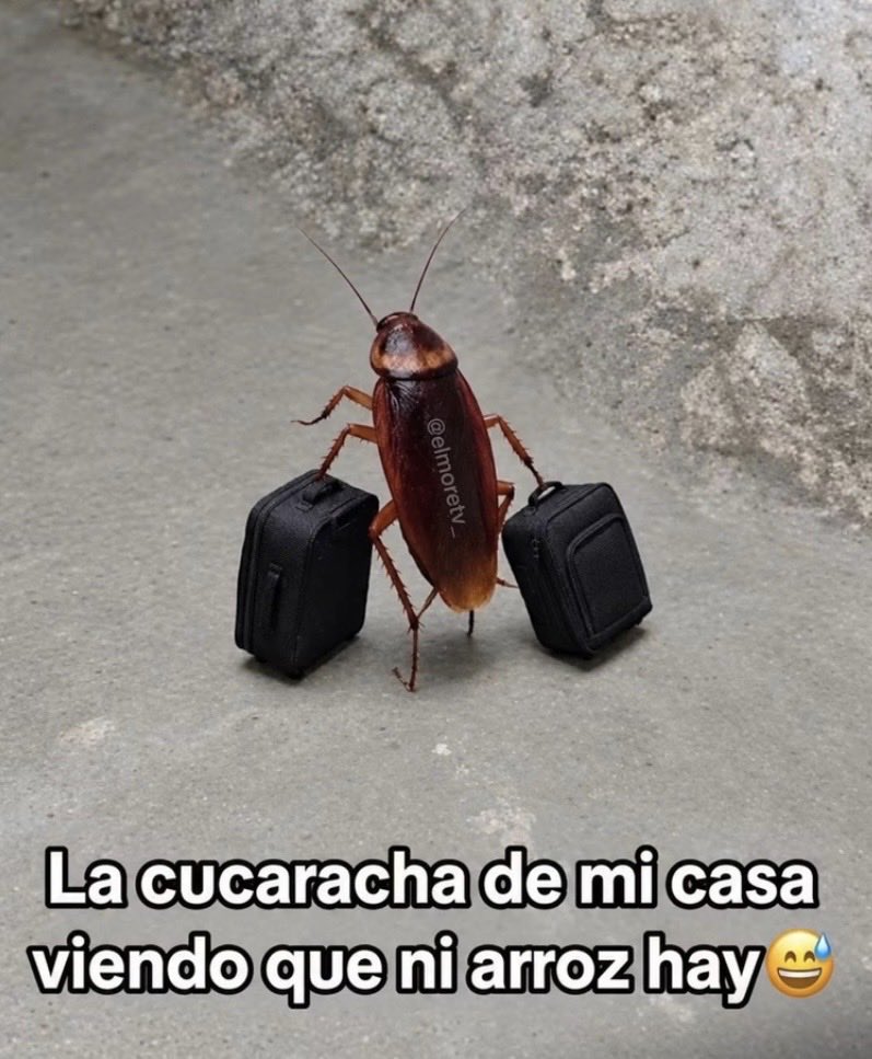 rosym_ss's tweet photo. En los momentos de pobreza, todos te abandonan . https://t.co/XTjAmFKBng